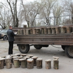 public://uploads/photos/017_3.jpg