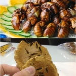 public://uploads/photos/02weirdfood.jpg