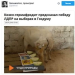 public://uploads/photos/11.4_44.jpg