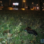 public://uploads/photos/12.3_8.jpeg