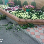 public://uploads/photos/13903425_1068968113181299_2057807911242834892_n.jpg