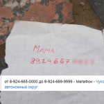 public://uploads/photos/141902.png