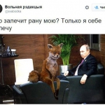 public://uploads/photos/1447691806_putin1.jpg