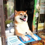 public://uploads/photos/1477930840_yaponiya4.jpg