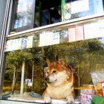 public://uploads/photos/1477930908_yaponiya3.jpg