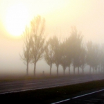 public://uploads/photos/16555903.jpg