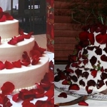 public://uploads/photos/1705087.jpg