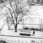 public://uploads/photos/1719926.jpg