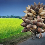 public://uploads/photos/1731353.jpg
