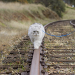 public://uploads/photos/1741194.png