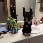 public://uploads/photos/1769509.jpg