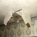 public://uploads/photos/1870007.jpg