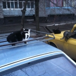 public://uploads/photos/2014-02-13_07-02-03.jpg