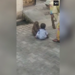 public://uploads/photos/2019-02-13_16_17_42-monkey_kidnaps_a_toddler_from_a_village_so_it_has_someone_to_play_with_on_the_ro.png