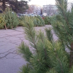public://uploads/photos/42586bf33955ded978edb3e986b4c7216889f1bf6629c75c711150c840d811fb_0.jpg