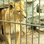public://uploads/photos/4_568.jpg