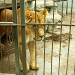 public://uploads/photos/5_471.jpg
