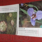public://uploads/photos/62714267_2_1000x700_kalendar-sokrovischa-botanicheskih-sadov-1986-fotografii.jpg