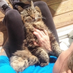 public://uploads/photos/7161060-650-1457516254-6.jpg