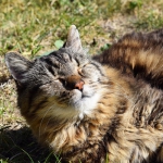 public://uploads/photos/7161210-650-1457516254-3.jpg