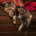 public://uploads/photos/7161260-650-1457516254-2.jpg