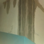 public://uploads/photos/8-1-e1544587268365.jpg