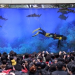 public://uploads/photos/aquarium09.jpg