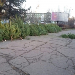 public://uploads/photos/c8f052bd32b8991f88052aa4cdaa27fb11e81dcf3e413a0e2b9b04588fa384dc_0.jpg
