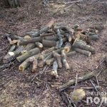 public://uploads/photos/drova_viln_3.jpg
