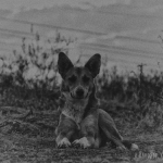 public://uploads/photos/dsc_0102d187d0b11-500x375.jpg