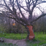 public://uploads/photos/dsc_0181.jpg