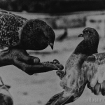 public://uploads/photos/dsc_0208d187d0b1-1-500x375.jpg