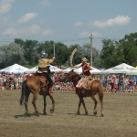 public://uploads/photos/dsc_0262.jpg