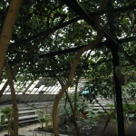 public://uploads/photos/dsc_1825.jpg