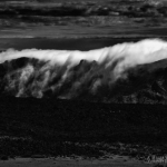 public://uploads/photos/dsc_2712d186d0b2-500x333.jpg