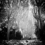 public://uploads/photos/dsc_3342-333x500.jpg