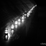 public://uploads/photos/dsc_4856-500x333.jpg