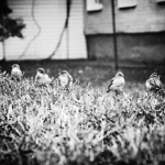 public://uploads/photos/dsc_5251-500x333.jpg