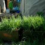 public://uploads/photos/dsc_6618.jpg