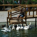 public://uploads/photos/dsc_7521.jpg