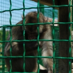 public://uploads/photos/dsc_7572.jpg