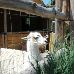 public://uploads/photos/dsc_7574.jpg