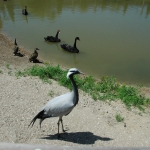 public://uploads/photos/dsc_7606.jpg