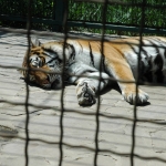 public://uploads/photos/dsc_7626.jpg