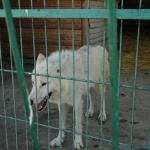 public://uploads/photos/dsc_7654.jpg