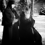 public://uploads/photos/dsc_8657-333x500.jpg
