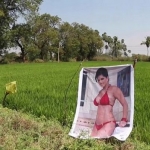 public://uploads/photos/farmer-believes-this-massive-poster-of-a-porn-star-is-magic-and-bo8osts-his-crops.jpg