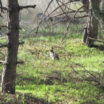public://uploads/photos/fotki_043.jpg