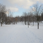 public://uploads/photos/i3jbou3uqqa.jpg