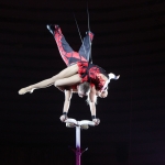 public://uploads/photos/img_0967_2.jpg